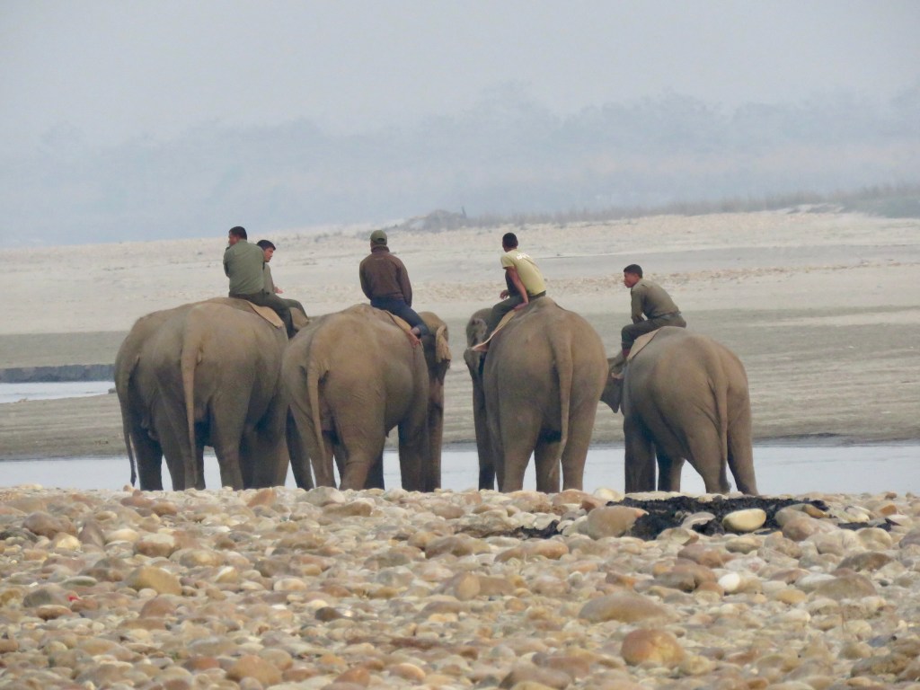 Day 13 – The birthplace of&nbsp;Buddha
