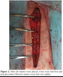 main-qimg-e722c77bf04a86c027c8c7b4473cc4a2-c