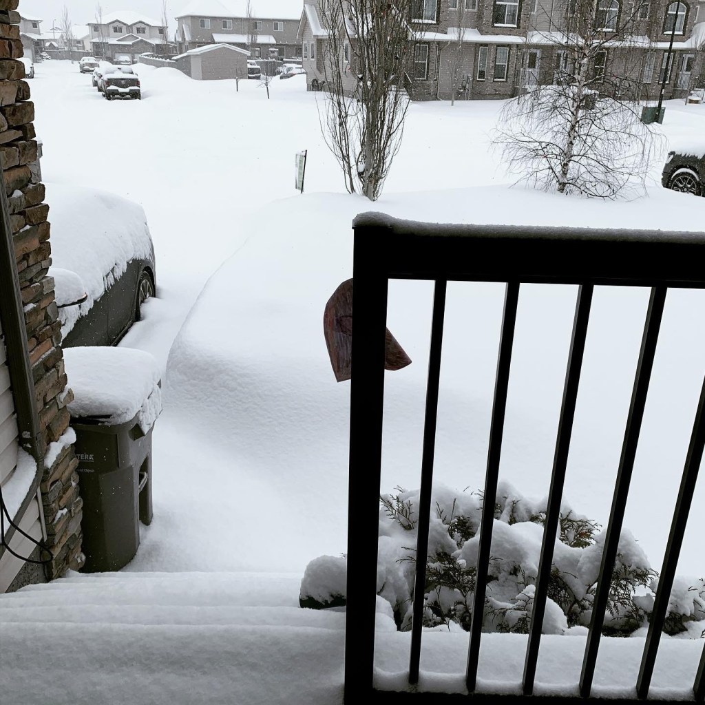 Isolation Lockdown Day&nbsp;8