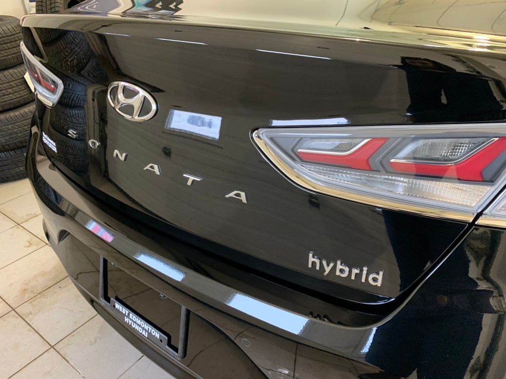 Isolation Lockdown Day&nbsp;4