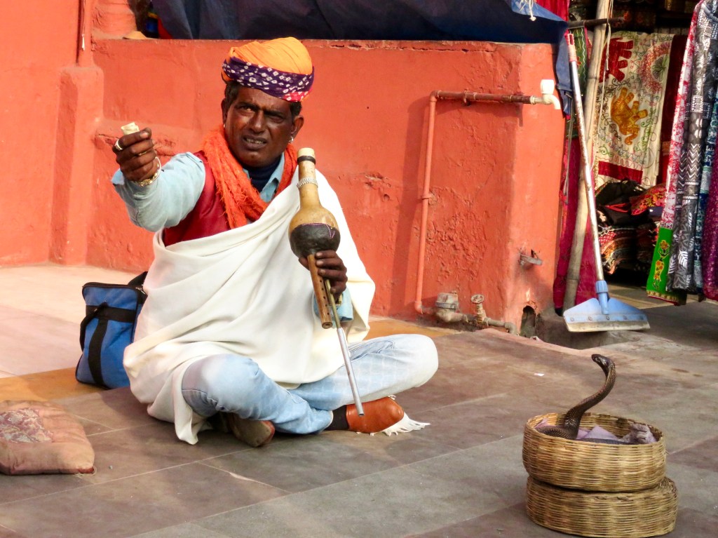 Snake Charmer
